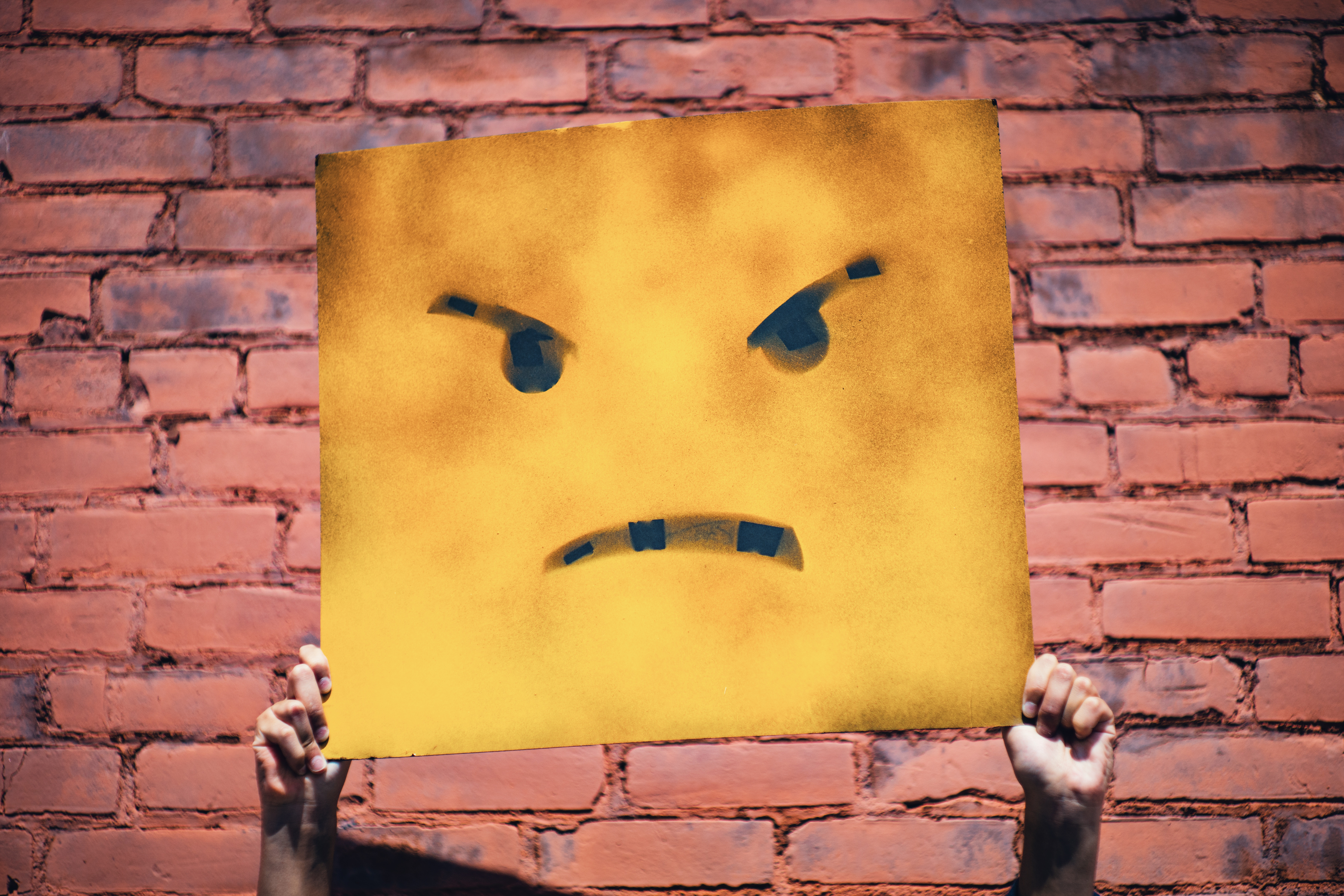 a picture of someone holding up a sign that has an angry or frustrated face on it