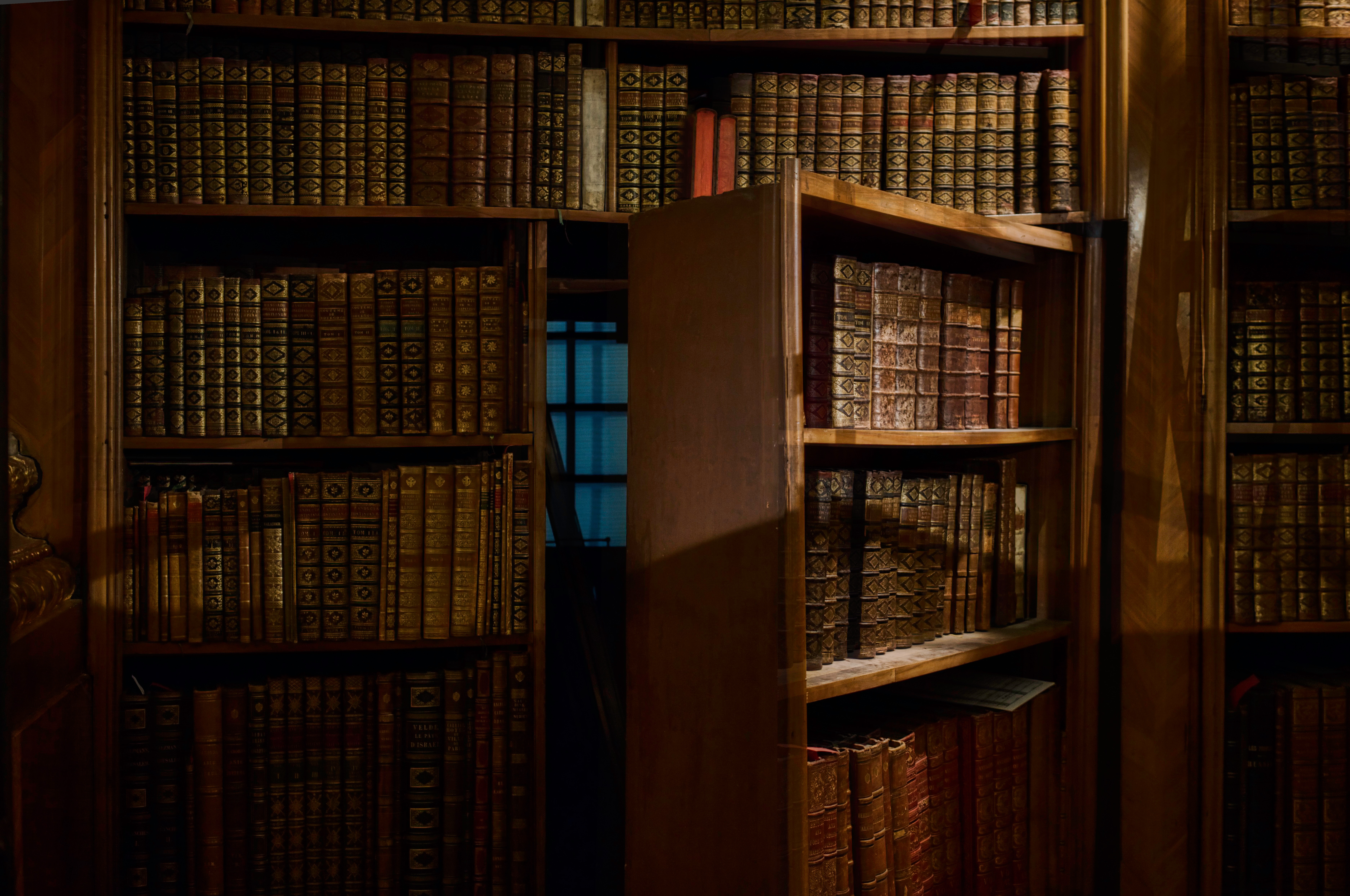 a picture of a secret library hidden door